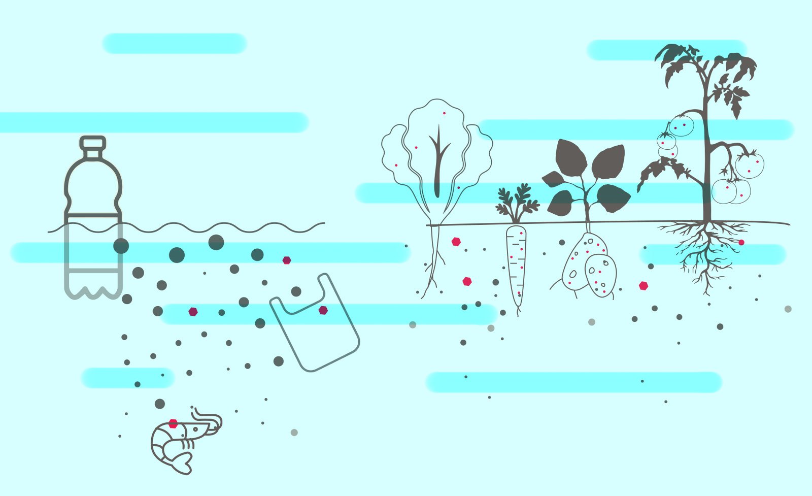 VIS—A—VIS image 10