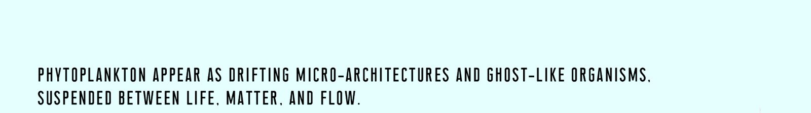 VIS—A—VIS image 3