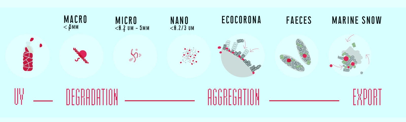 VIS—A—VIS image 5