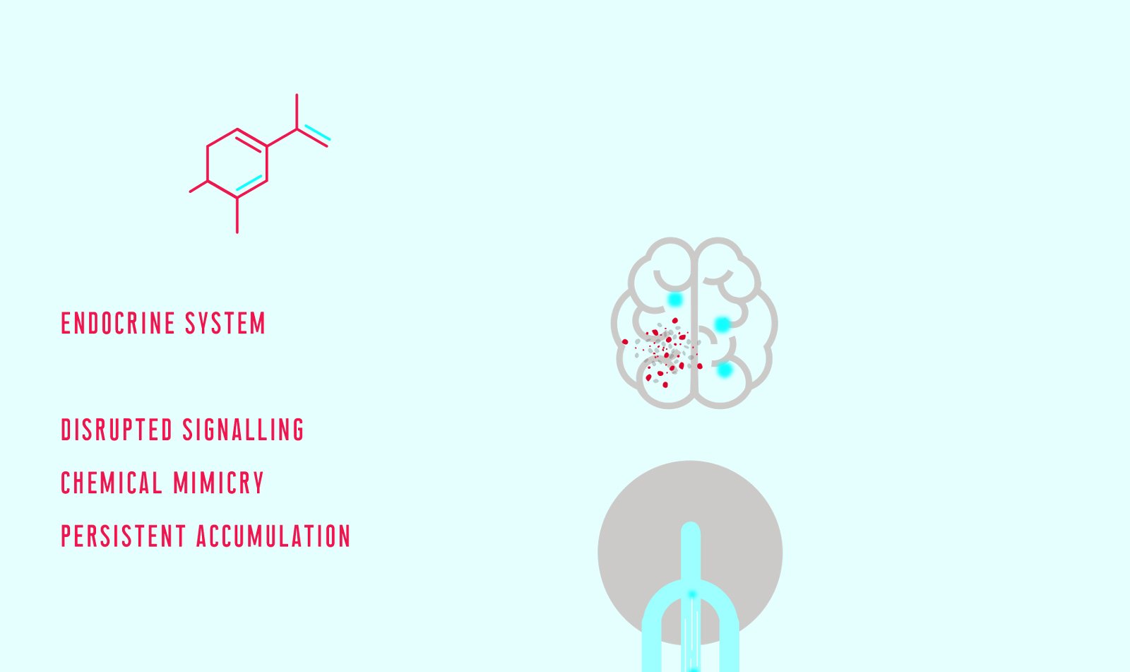 VIS—A—VIS image 6