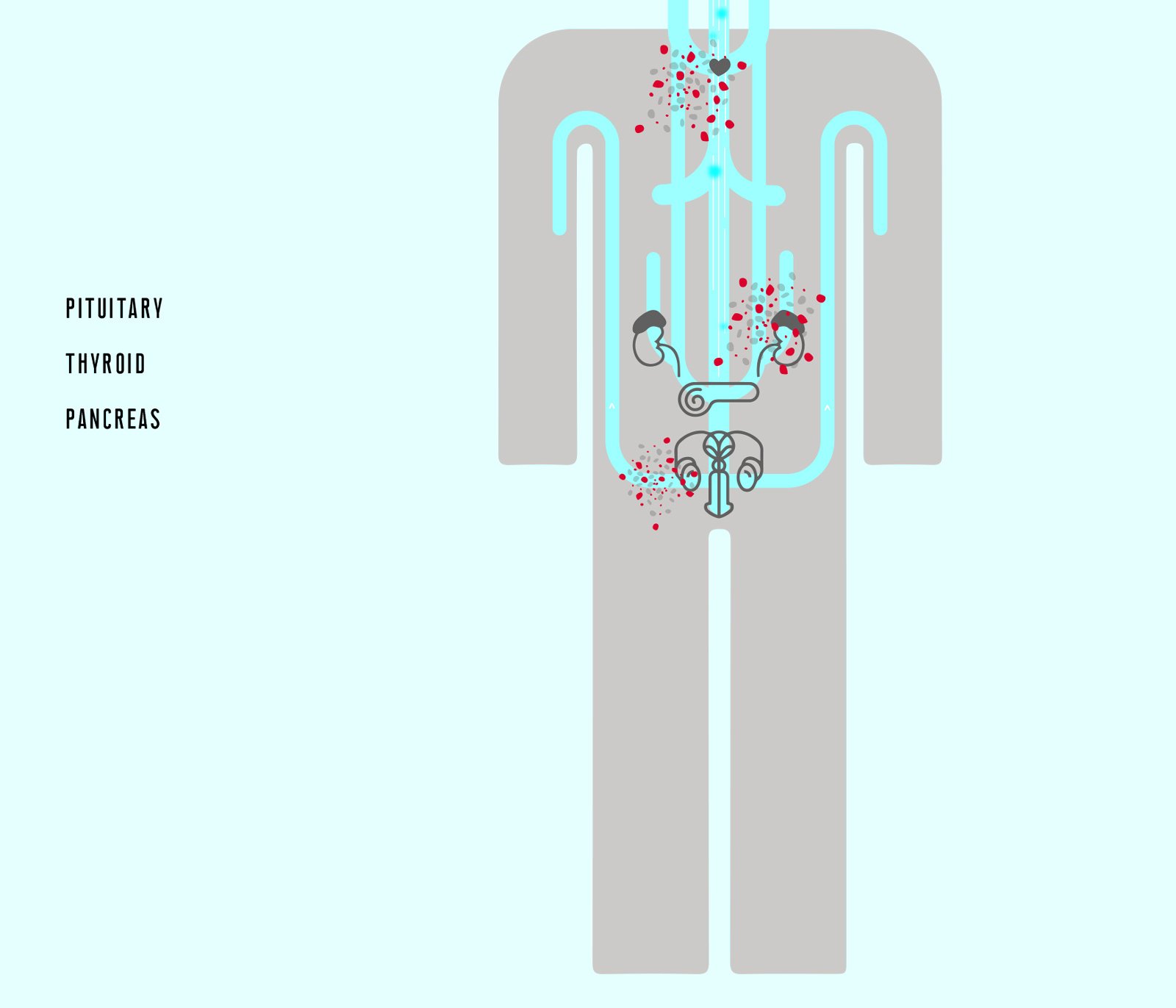 VIS—A—VIS image 7