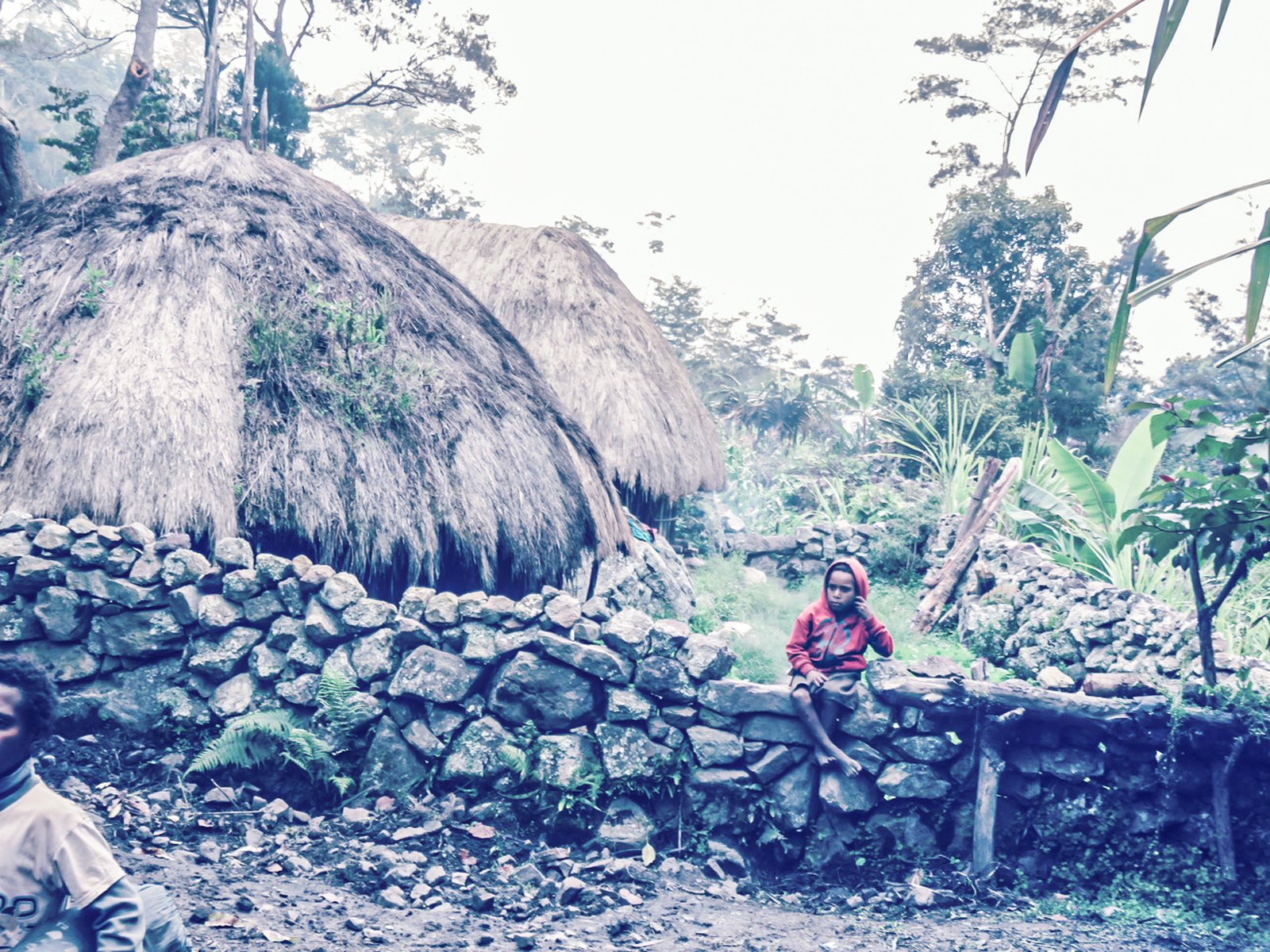 Settlement in Baliem Valley