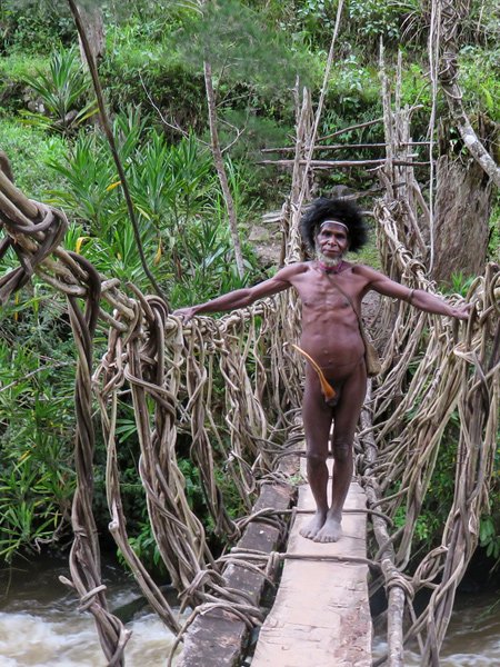 Anthropological Pattern