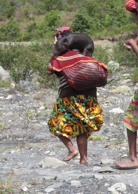 Woman carrying child