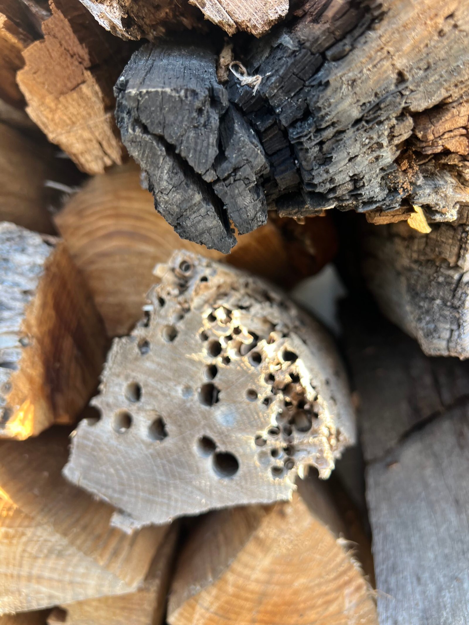 Horoboro object detail