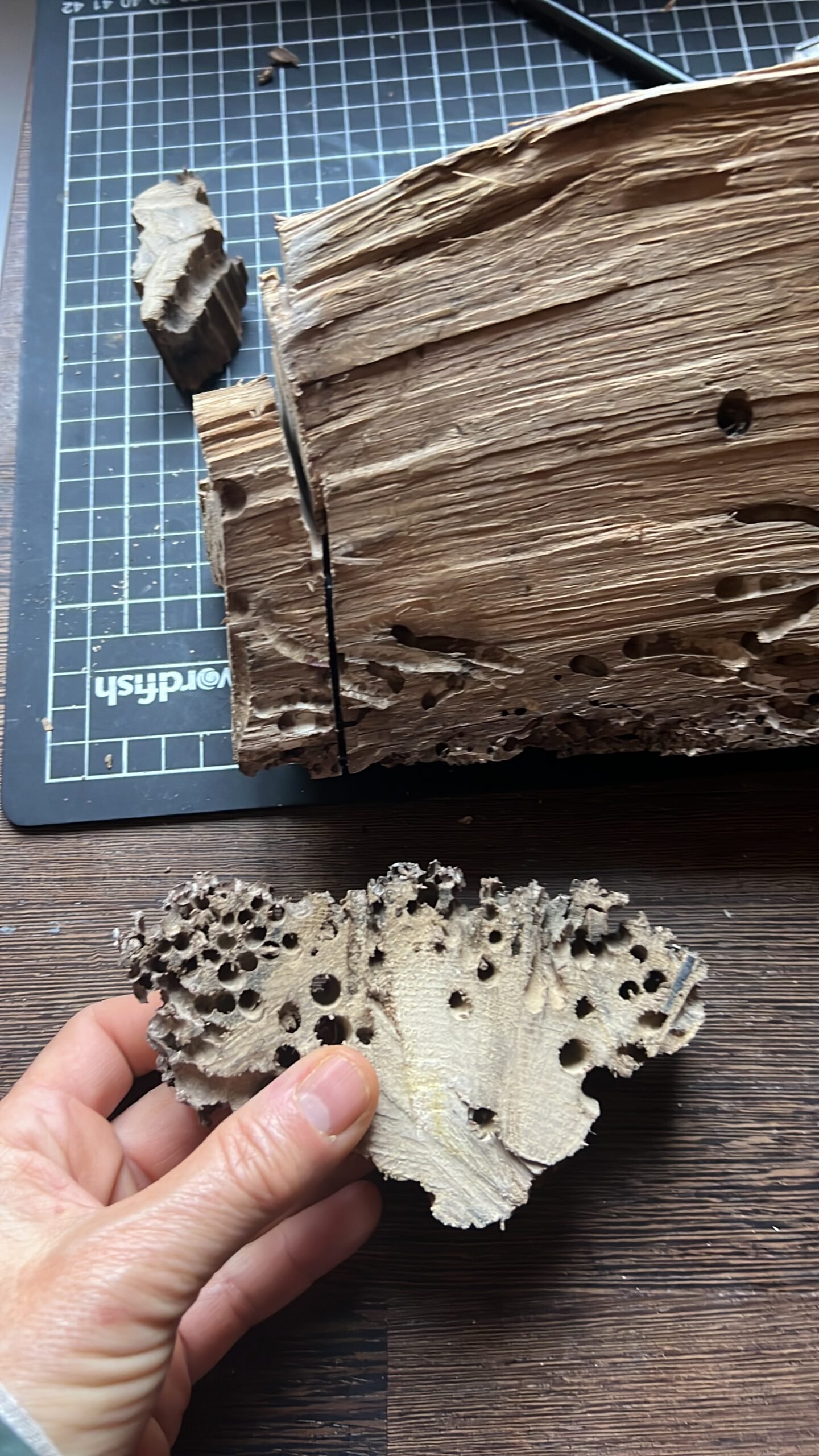 Briccola wood detail