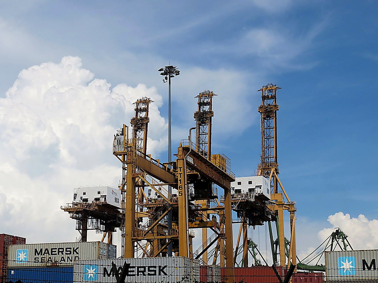 Singapore Port — Logistics Field